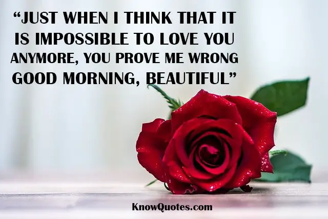 Cute Good Morning Quotes for Your Girlfriend