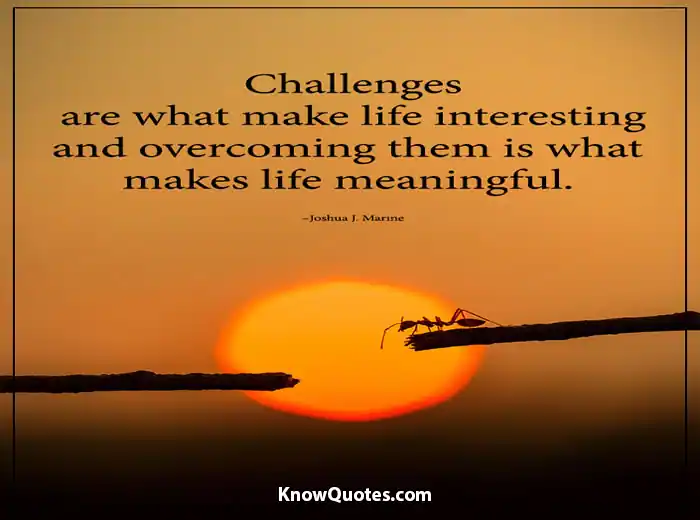 Positive Quotes About Life Challenges