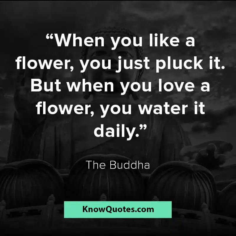 Love Romantic Buddha Quotes