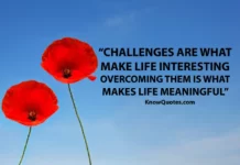 Motivational Quotes About Challenges in Life
