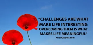 Motivational Quotes About Challenges in Life