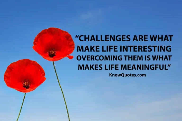 Positive Quotes About Life Challenges